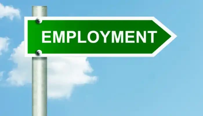 Government Reports Steady Rise in Employment Across Sectors