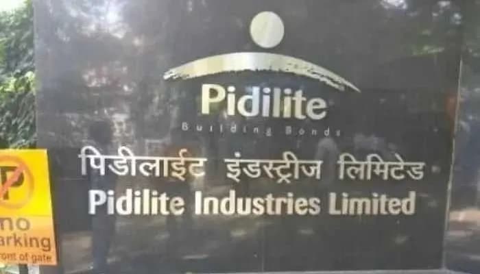 Pidilite Partners with 600+ ITIs to Skill Over One Lakh Youth
