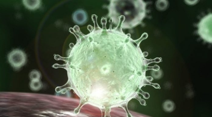 Coronavirus impact on the Indian economy