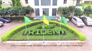 Trident Group to distribute ESOPs worth Rs. 200 cr in next fiscal