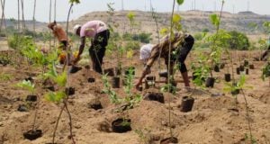 Sony Pictures Networks joins hands with SayTrees for a greener planet