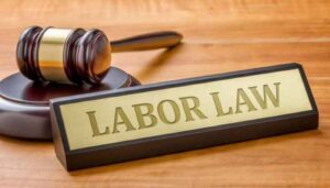 Labour Ministry Assesses State Preparedness in Labour Codes Implementation