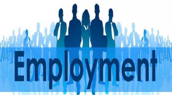 EPF and ESIC Registrations Drop as Formal Job Slows in October