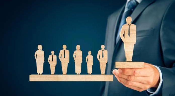India Inc Sees Surge in Young Directors: Over 30% Are Under 30