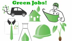 CEEW Study Projects 10 Lakh Green Jobs in Odisha by 2030