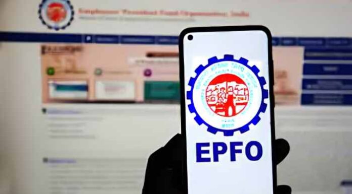 EPFO Membership Grows by 14.63 Lakh in November 2024