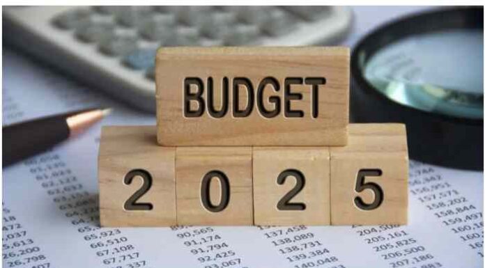India's Budget 2025: Boosting Female Labor Force Participation
