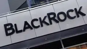 BlackRock Announces 300 Job Cuts in Second Round of Layoffs