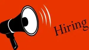 India’s Hiring Outlook for Q3 2025 Holds Steady at 42%