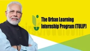 TULIP Offers Various Internship Program, Deadline Ending Soon