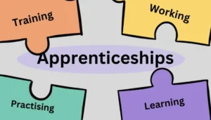 Earn Monthly Under BRAOU’s New Apprenticeship Scheme
