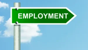 Government Reports Steady Rise in Employment Across Sectors