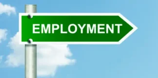 Government Reports Steady Rise in Employment Across Sectors