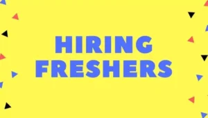 E-Commerce and Tech Startups Lead Fresher Hiring in India