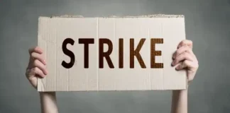 Punjab Power Staff Launch 3-Day Strike Over Unmet Demands