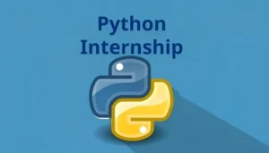 Virtual Internship in Python Programming, Apply by Aug 30, 2025