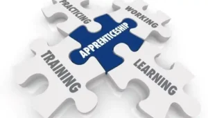 Apprenticeship Act Overhauled to Boost Youth Skilling