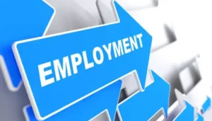 India Adds 16.8 Crore Jobs in Six Years, Unemployment Falls