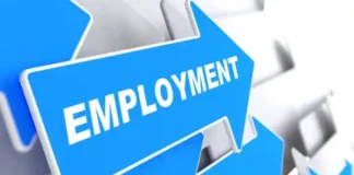 India Adds 16.8 Crore Jobs in Six Years, Unemployment Falls